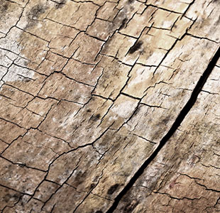 LANDS Dark Loop Natural Texture (Holz) Gewerbliche Teppichfliesen