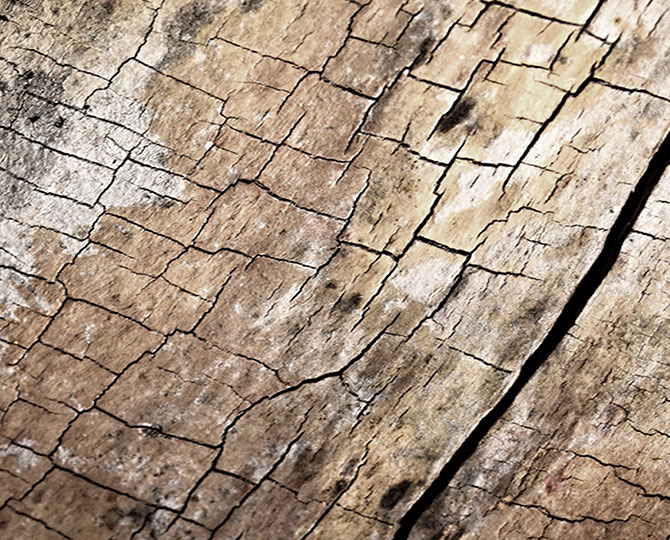 LANDS Grey Loop Natural Texture (Holz) Gewerbliche Teppichfliesen