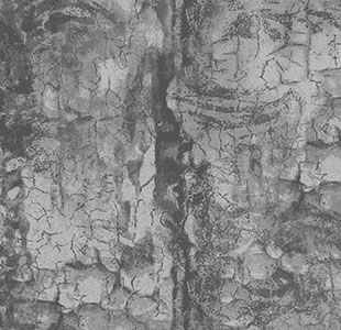 LANDS Grey Loop Natural Texture (Holz) Gewerbliche Teppichfliesen