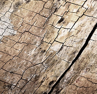 LANDS leichte Grauschleife Natürliche Textur (Holz) Gewerbliche Teppichfliesen