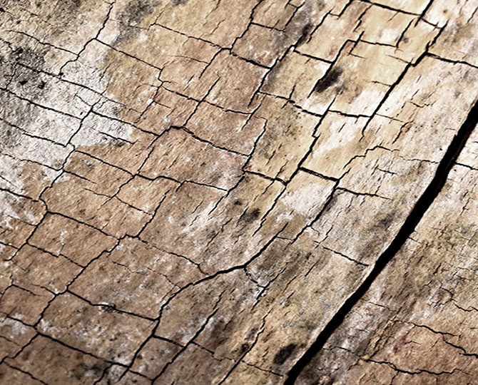 LANDS Blue Loop Natural Texture (Holz) Gewerbliche Teppichfliesen