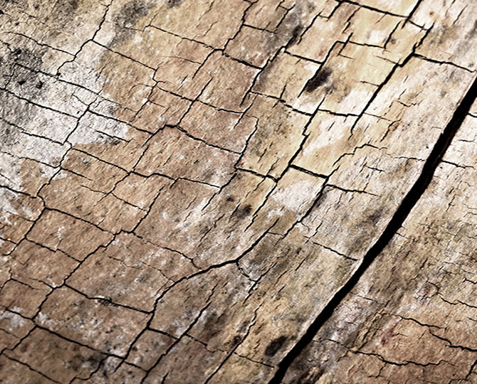 LANDS Brown Loop Natural Texture (Holz) Gewerbliche Teppichfliesen